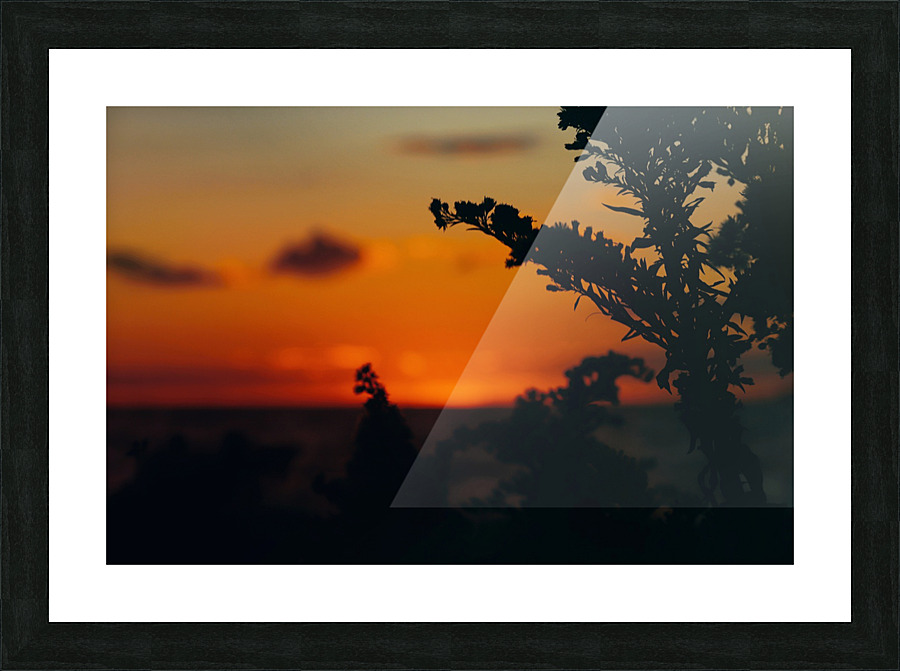 Orange Picture Frame print