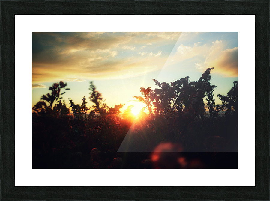 Nature Speaks Picture Frame print