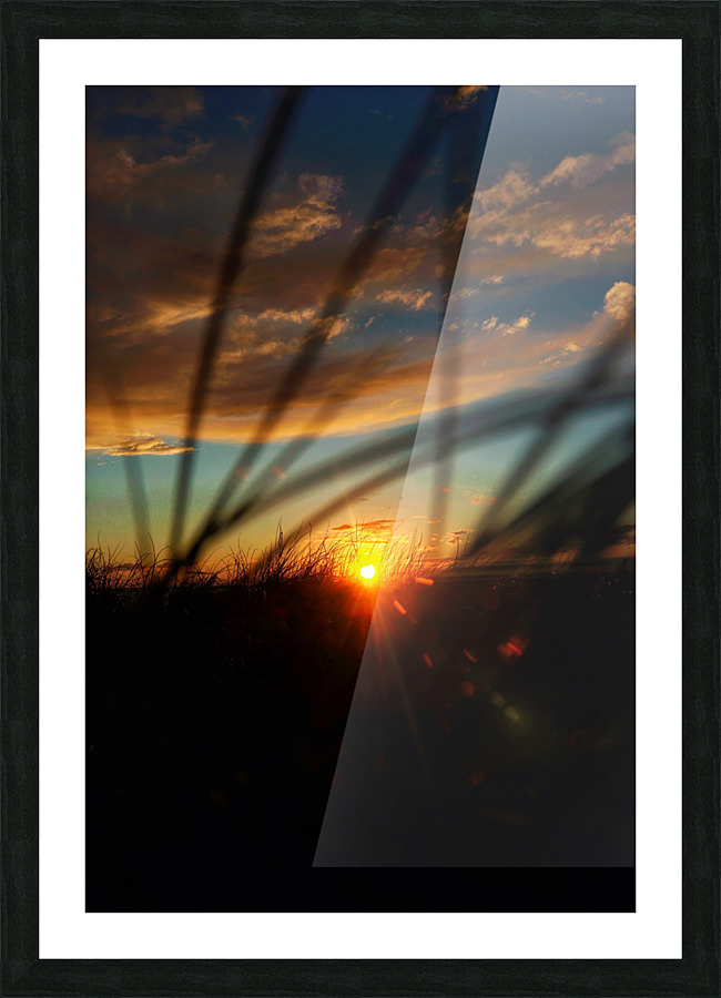 Through the grass Picture Frame print