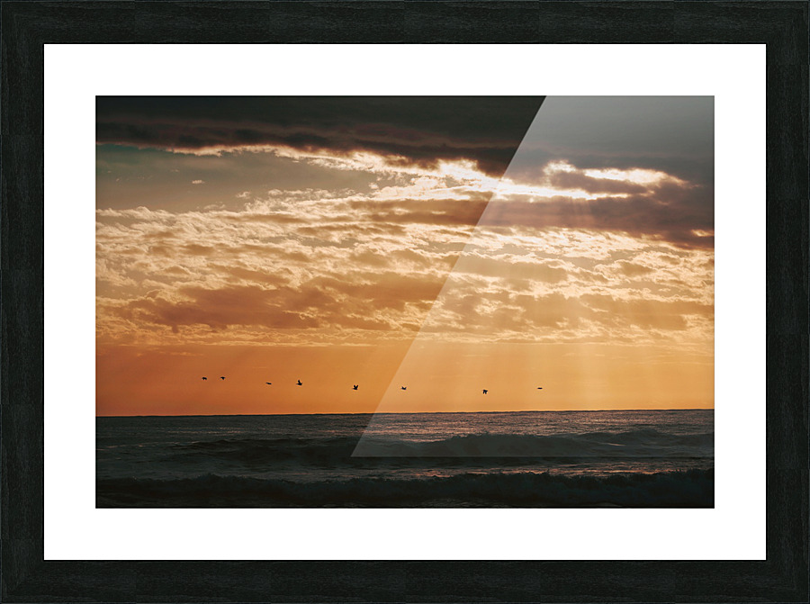 Flight Picture Frame print