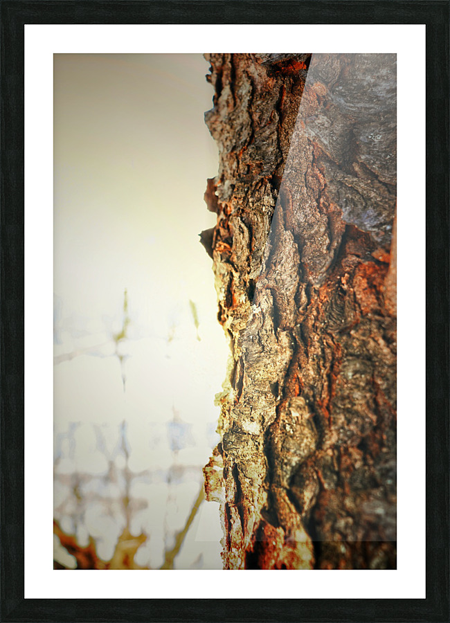 Bark Picture Frame print
