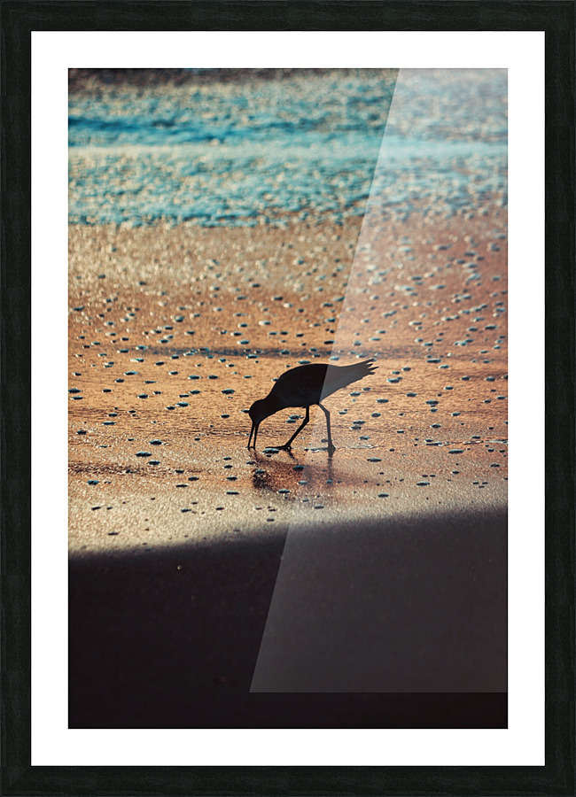 Early Bird Picture Frame print