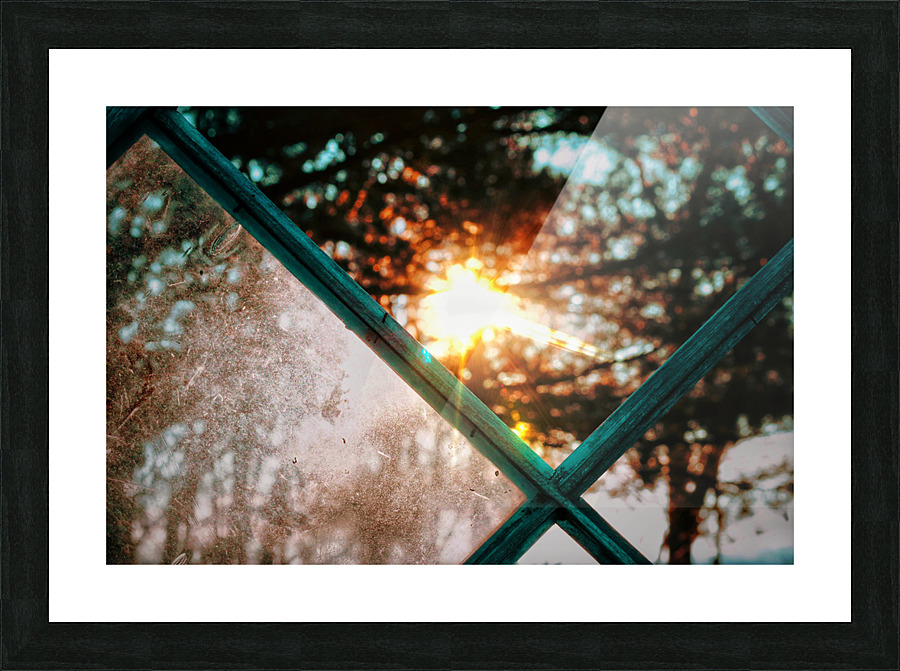Pane Picture Frame print