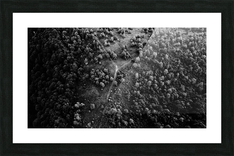 Trails Picture Frame print