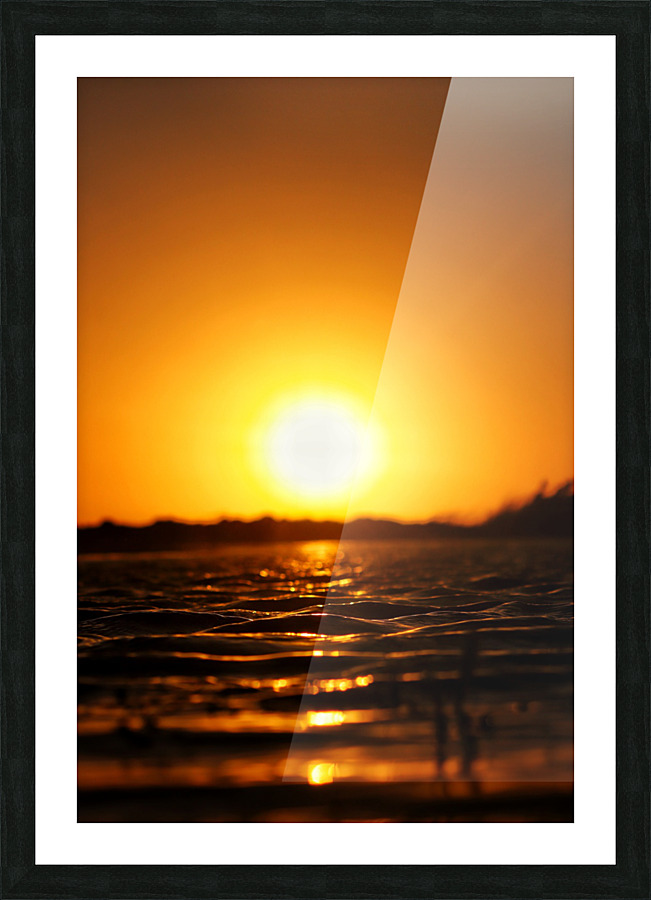 Fin sun Picture Frame print