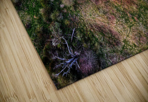 Bend Luminous Pixels Photography  puzzle