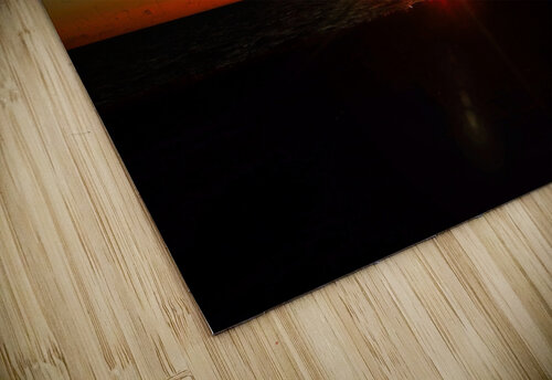 Fin Luminous Pixels Photography  puzzle