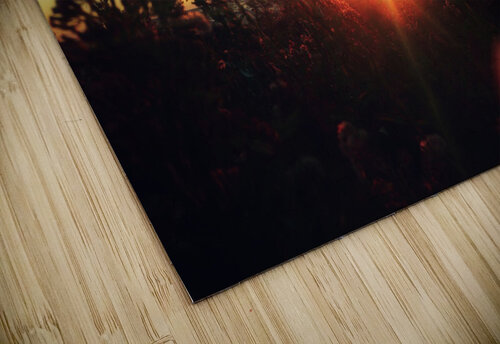 Nature Speaks Luminous Pixels Photography  puzzle