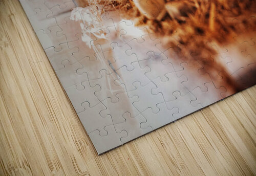 Left In Time Luminous Pixels Photography  puzzle