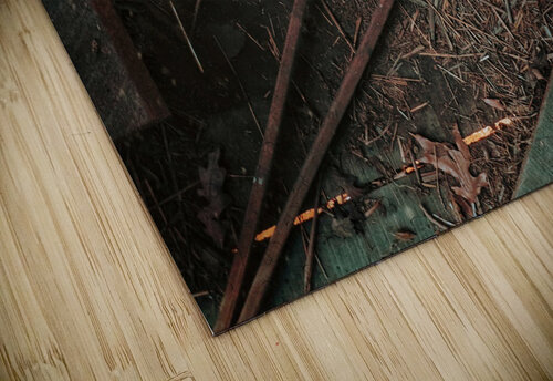 Broken Luminous Pixels Photography  puzzle