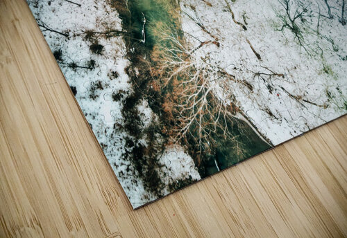 Twin Pixels Luminous Pixels Photography  puzzle