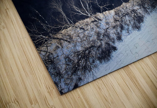 In Between Luminous Pixels Photography  puzzle