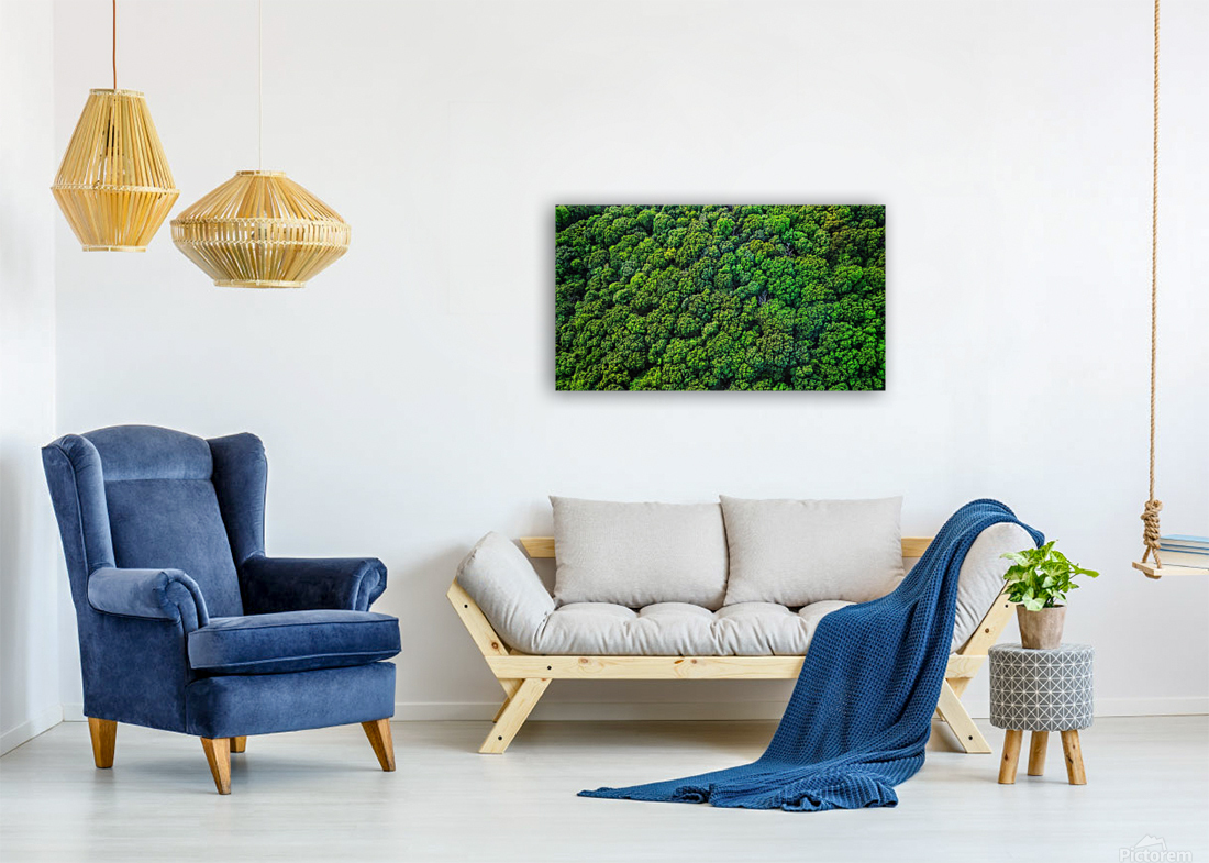 Broccoli Trees Reproduction