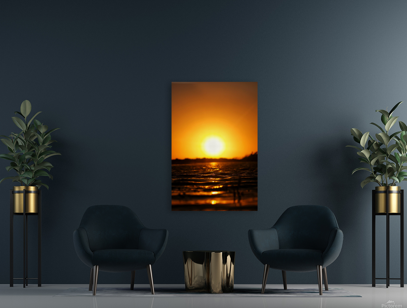 Fin sun Reproduction