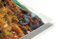 Rapid HD Metal print