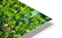 Green HD Metal print