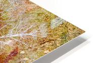Bend HD Metal print
