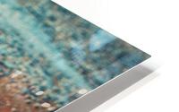 Early Bird HD Metal print