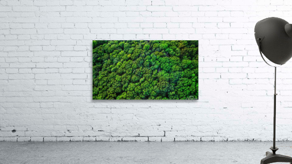 Broccoli Trees Wall Preview