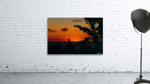 Orange Wall Preview