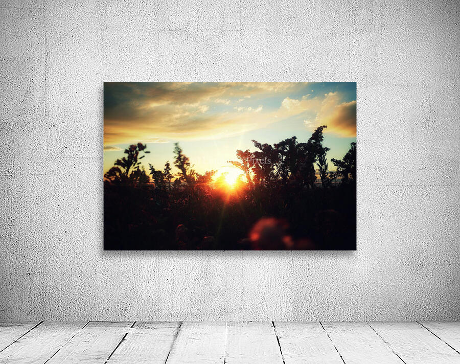 Nature Speaks Wall Preview
