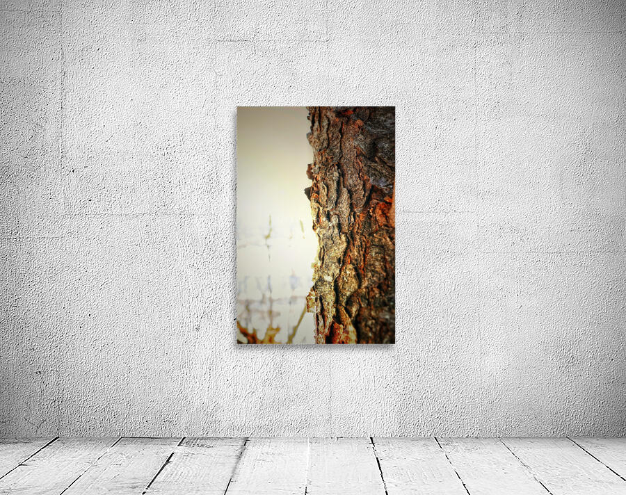 Bark Wall Preview
