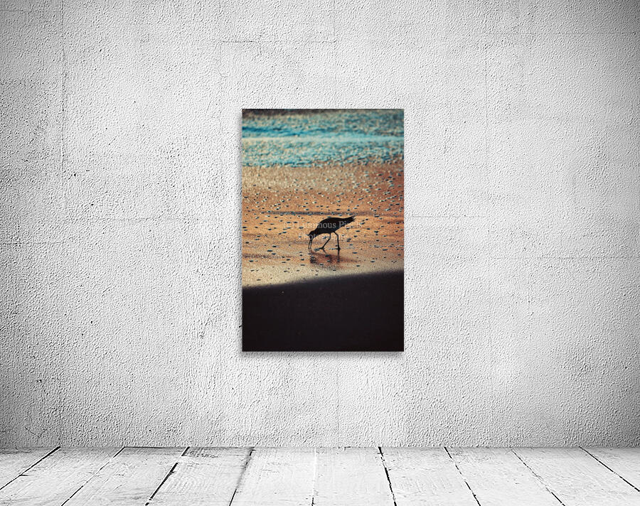 Early Bird Wall Preview