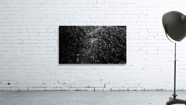 Trails Wall Preview