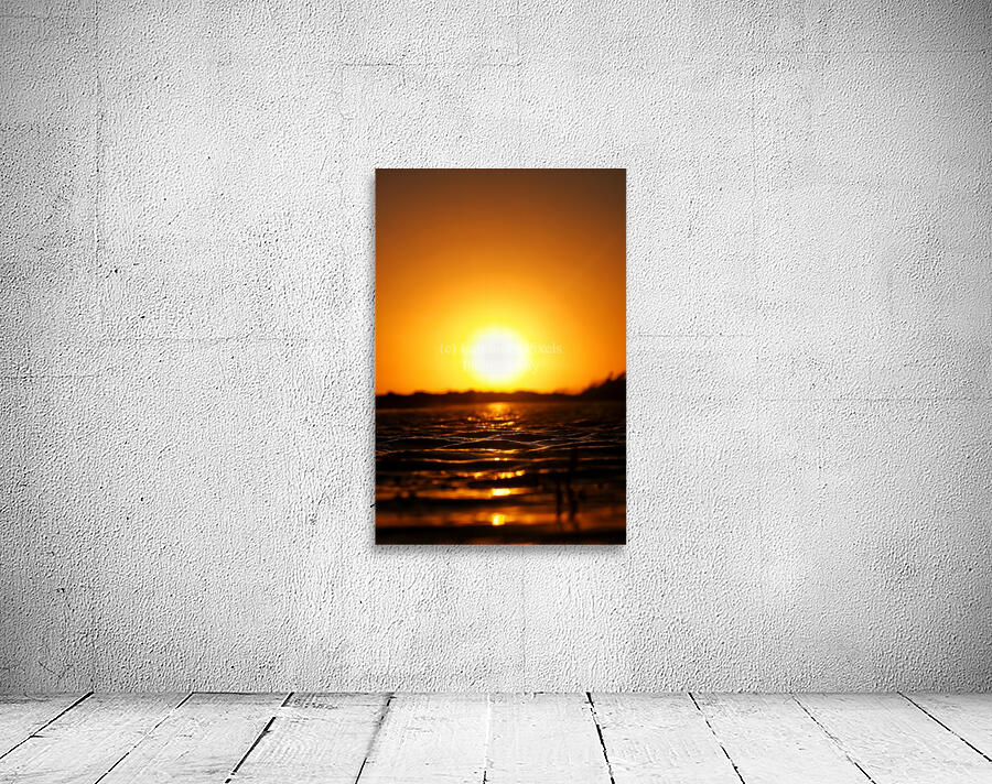 Fin sun Wall Preview