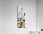 Avocado Acrylic Print