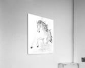 Galloping Horse  Acrylic Print