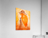 Ginger Girl Acrylic Print