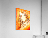Restless Horse  Acrylic Print