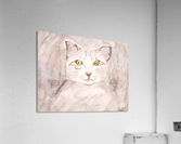 Gray Kitten 003 Acrylic Print