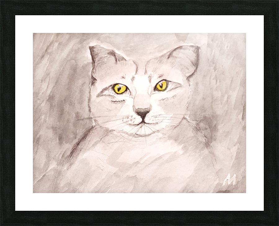 Gray Kitten 003 Picture Frame print