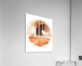Dune 5 Acrylic Print