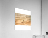 Dune 6 Acrylic Print