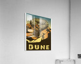 Dune 7 Acrylic Print