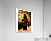 Dune 41 Acrylic Print