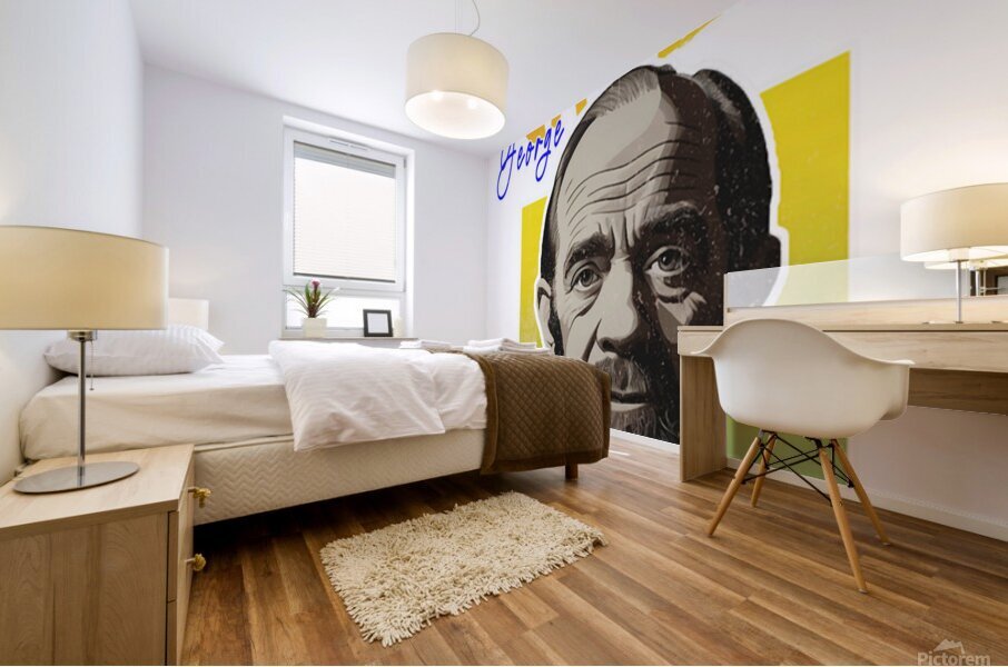 George Carlin 11 Mural print