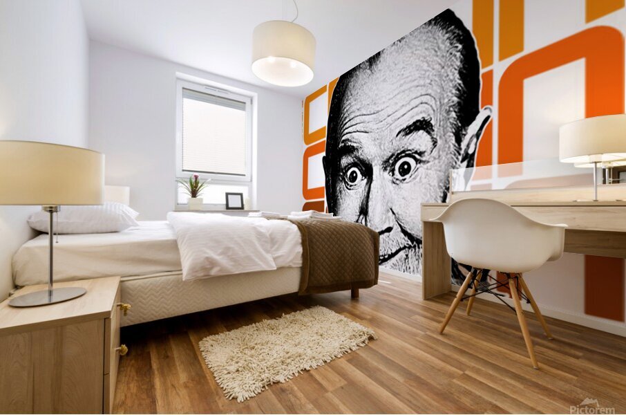 George Carlin 19 Mural print