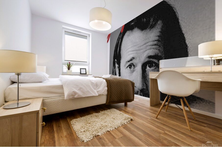 George Carlin 20 Mural print