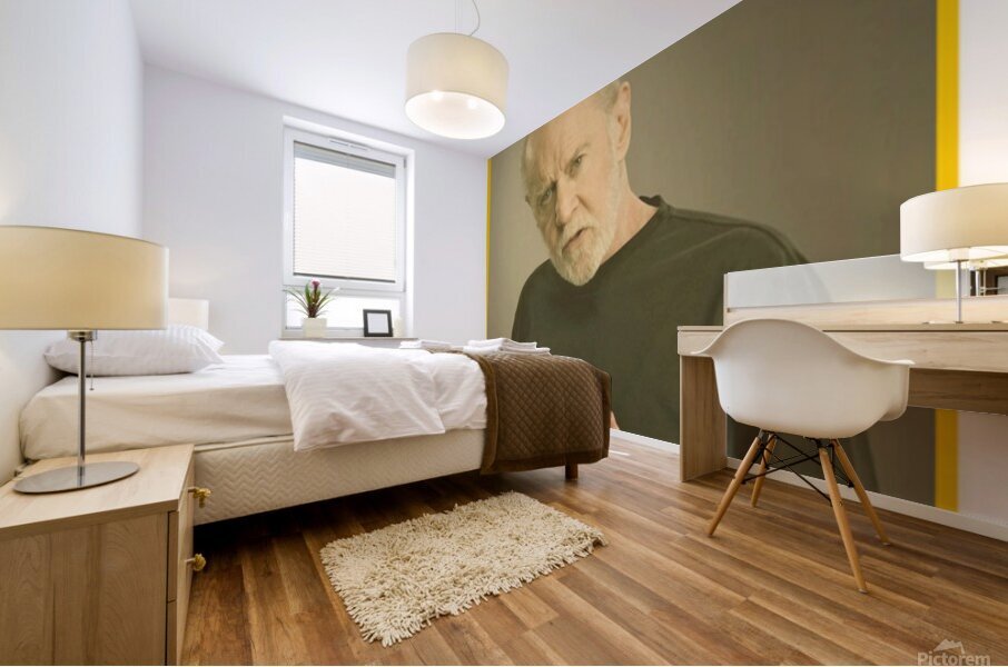 George Carlin 27 Mural print