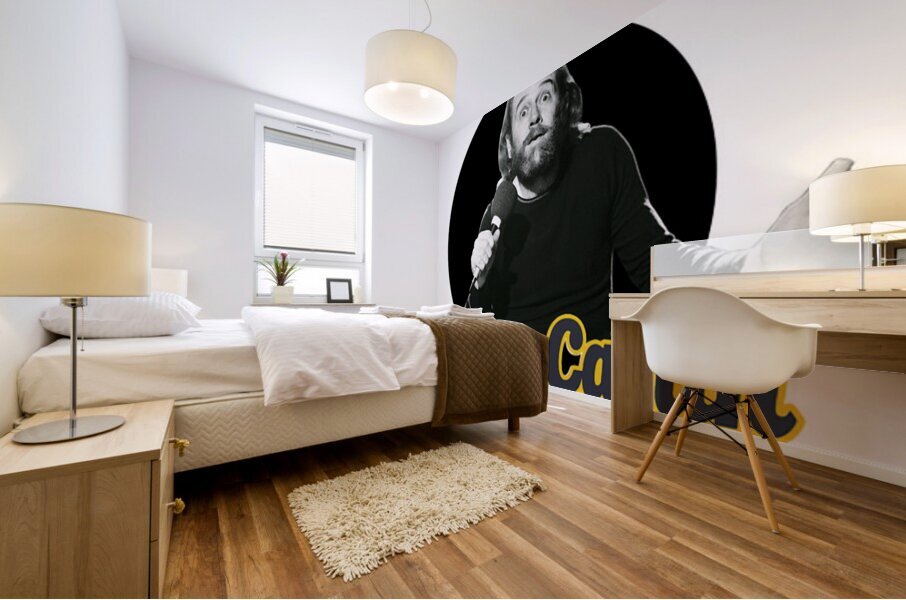 George Carlin 29 Mural print
