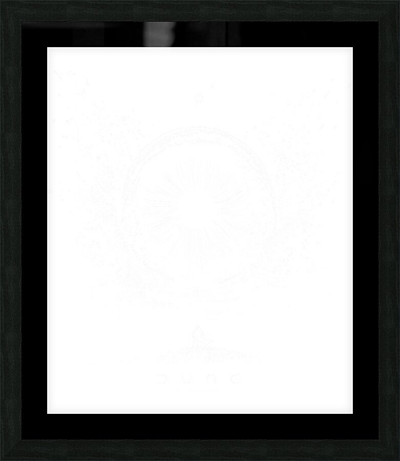 Dune 27 Picture Frame print