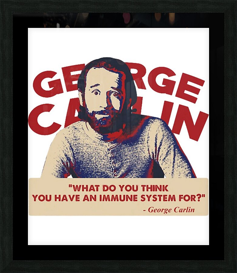 George Carlin 18 Picture Frame print
