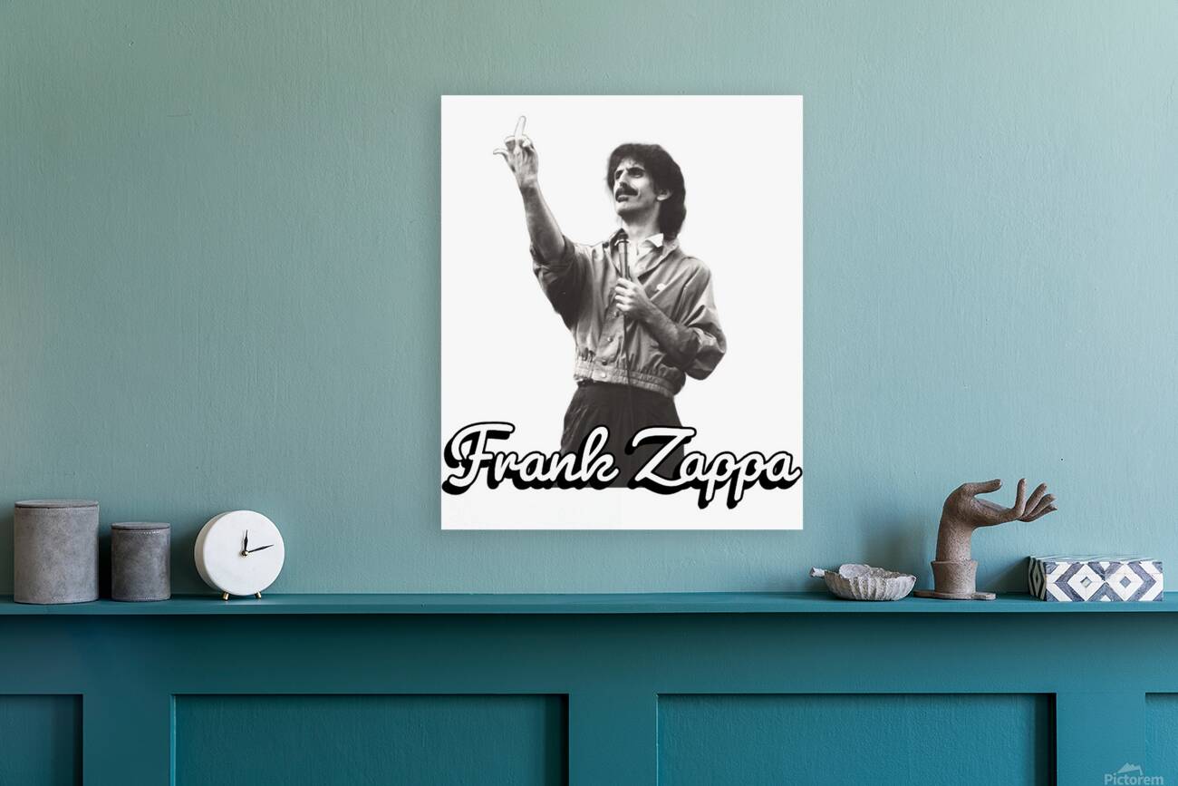 Frank Zappa 13 Reproduction