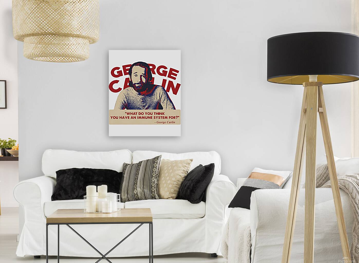 George Carlin 18 Reproduction