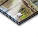 Nature’s View Acrylic print