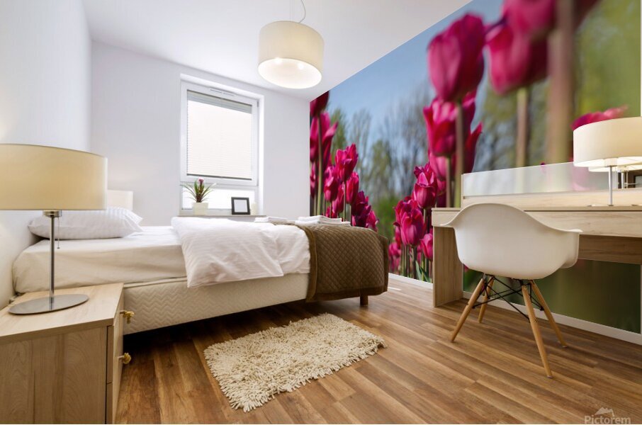 Tulip Time 3 Mural print